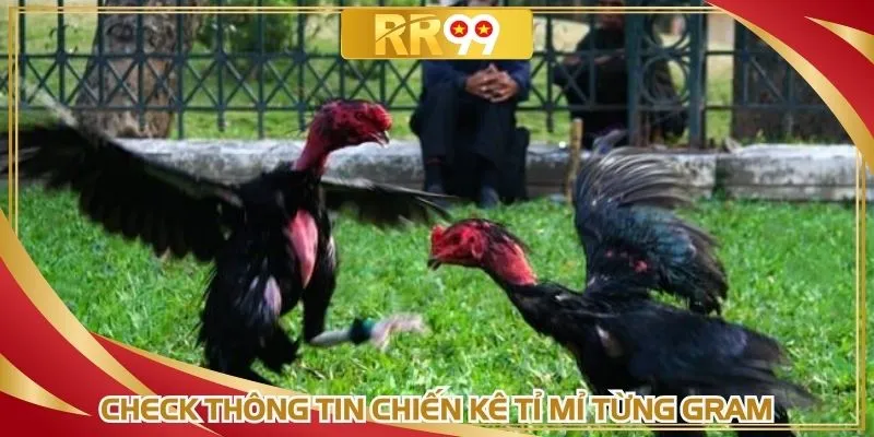 Check thông tin chiến kê tỉ mỉ từng gram