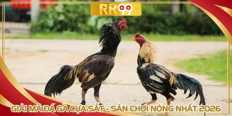 Giải mã đá gà cựa sắt - Sân chơi nóng nhất 2026