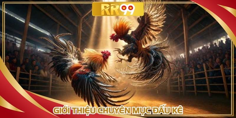 Giới thiệu chuyên mục đấu kê