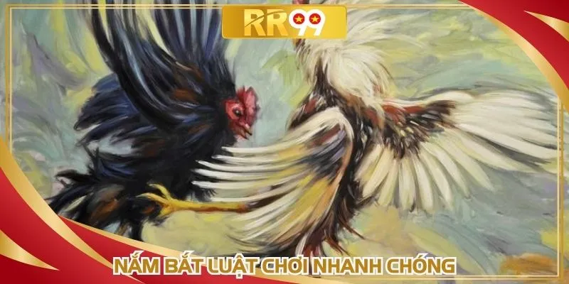 Nắm bắt luật chơi nhanh chóng