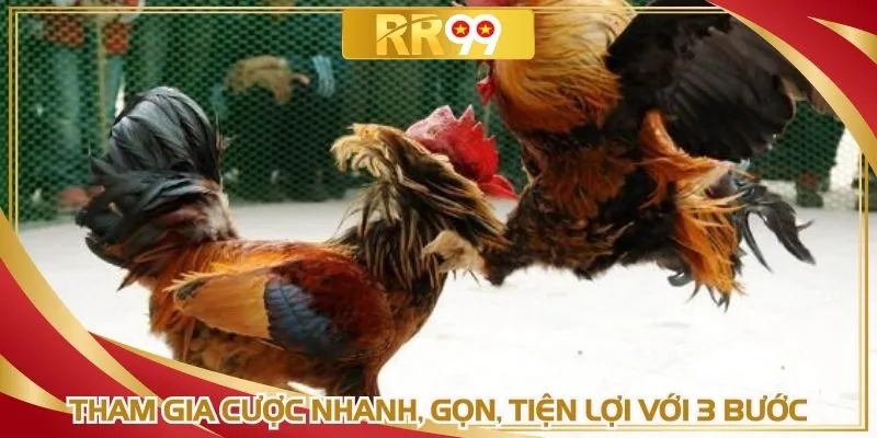 Tham gia cược nhanh, gọn, tiện lợi với 3 bước